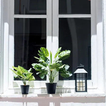 Apartment San Miguel Alta